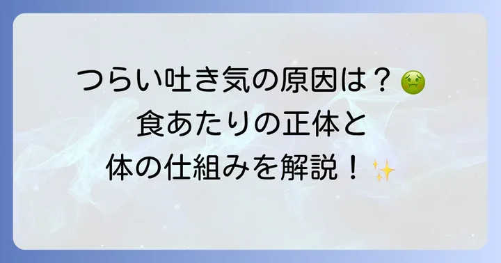 食あたりで吐き気がある時の症状と原因を理解する