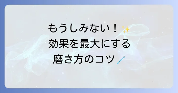 シュミテクト歯ブラシ三次元の効果的な使い方ステップ