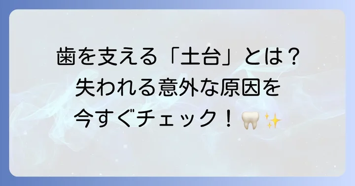 歯槽骨とは?その大切な役割と失われる原因