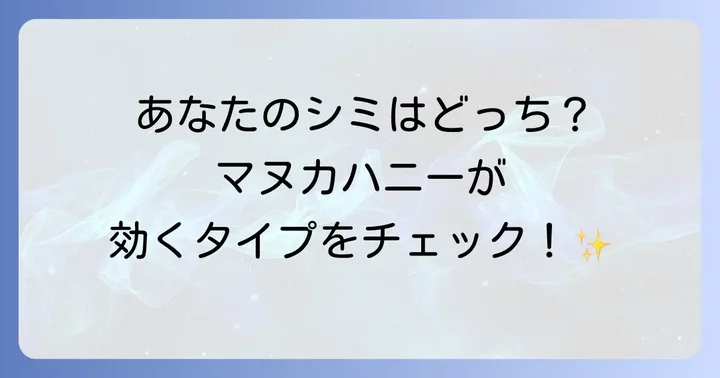 シミの種類とマヌカハニーがアプローチできる可能性