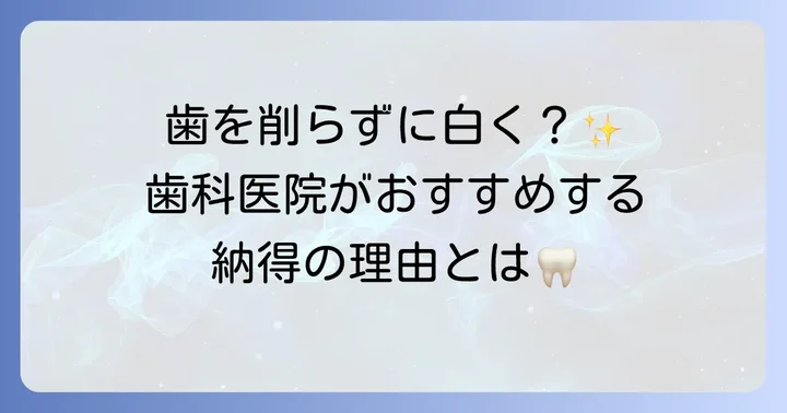 ルシェロホワイト研磨剤とは？その特徴と選ばれる理由
