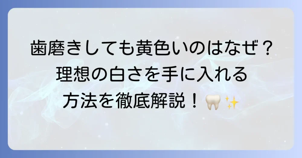 もともと歯が黄色い原因とは？歯を白くする方法を徹底解説