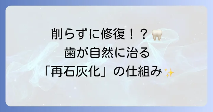 歯の再石灰化とは?健康な歯を保つための基礎知識