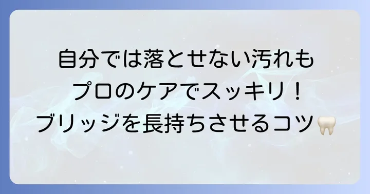歯科医院での定期的なチェックとプロのケアの重要性
