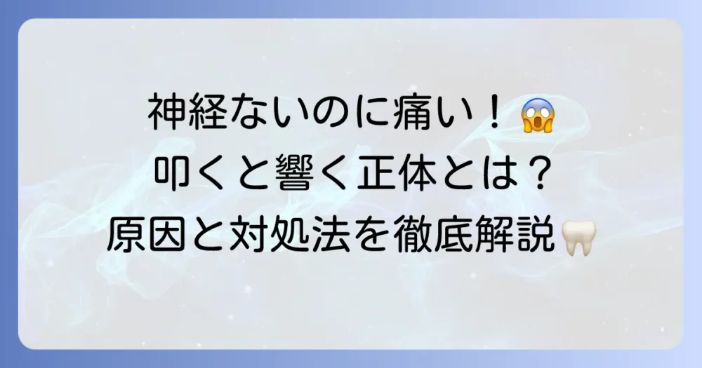 神経を抜いた歯を叩くと響く痛みの正体とは？原因から治療まで徹底解説