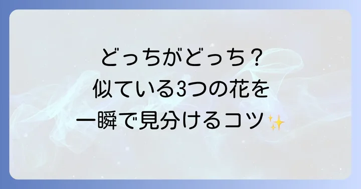 杜若と似ているアヤメ・花菖蒲との違い