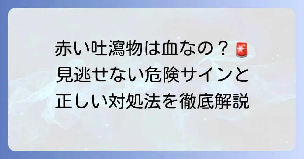 吐瀉物が赤いのは危険なサイン？考えられる原因と緊急時の対処法を徹底解説