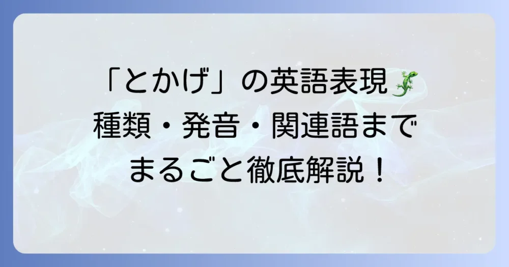「とかげ」の英語表現を徹底解説！種類や発音、関連語まで網羅