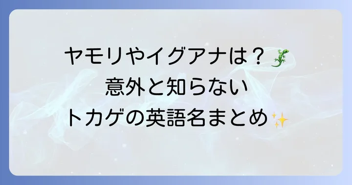 知っておきたい！様々なトカゲの種類と英語名