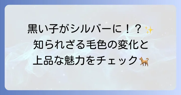 シルバーのトイプードルとは？その魅力と毛色の特徴