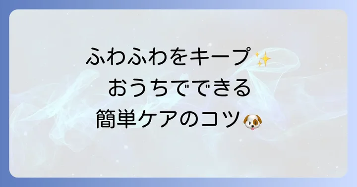 自宅でできるトイプードルカットシルバーのお手入れ方法