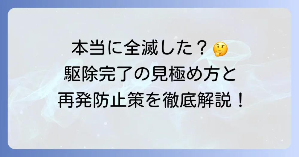 トコジラミはいなくなった？本当に駆除が完了したのかを確認する方法と再発防止策を徹底解説