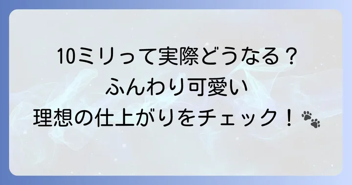 トイプードルのバリカン10ミリカットとは？魅力と仕上がり